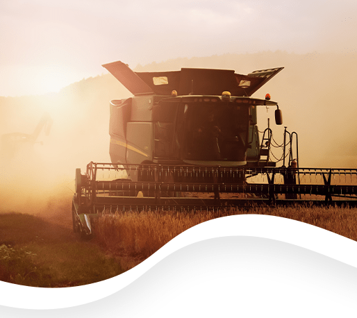 Delvemont Technology Solutions